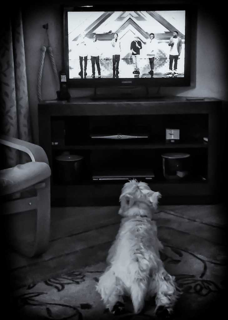 23rd September 2015     - Finlay watching X Factor by pamknowler