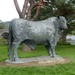 The Builth Wells Bull by susiemc