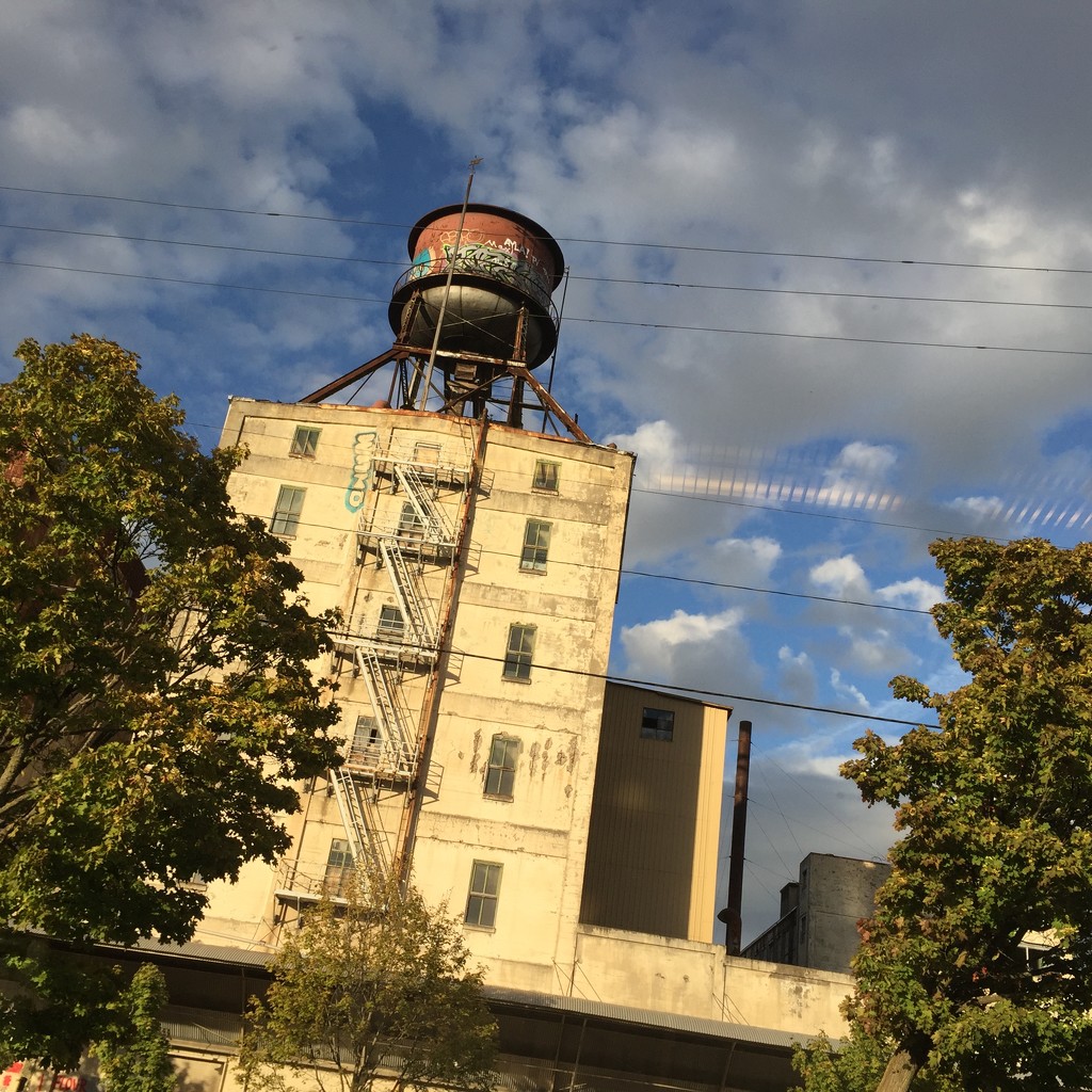 Arrived in Portland, Oregon today by train.  Beautiful day!  by seattle