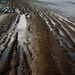 Mudflats by wenbow