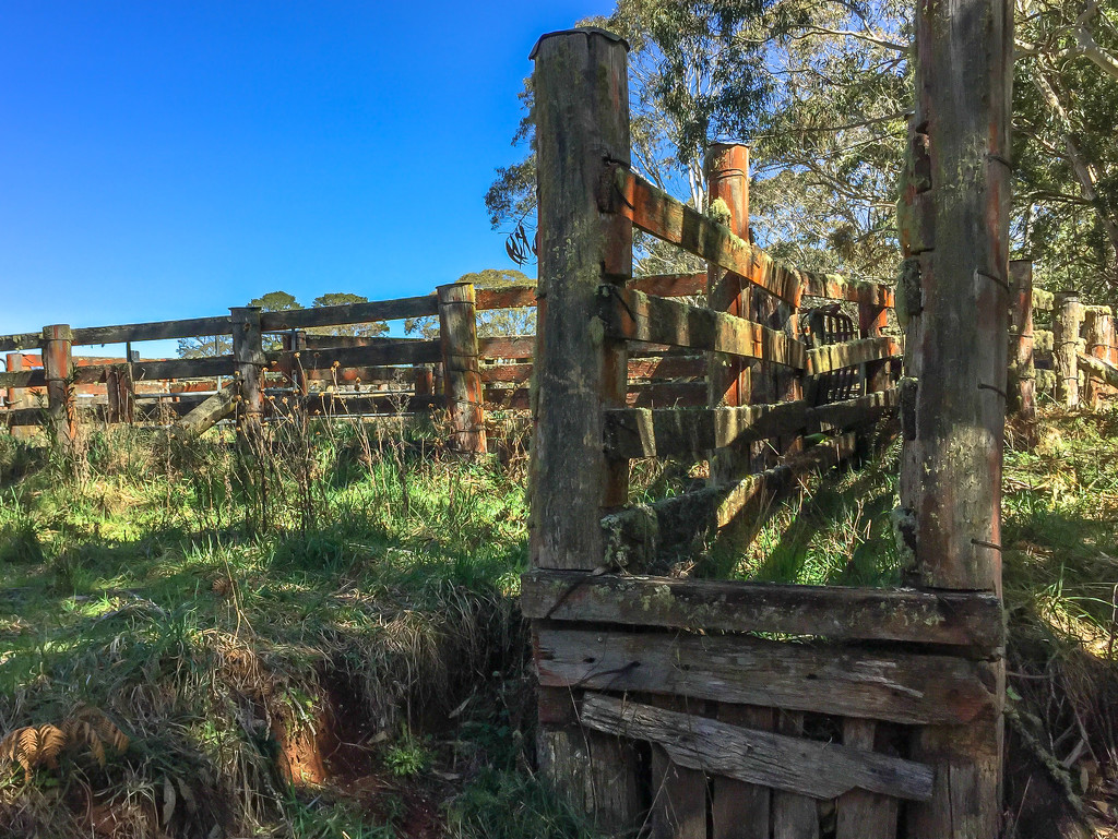 Dilapidated cattle loading facility  by pusspup