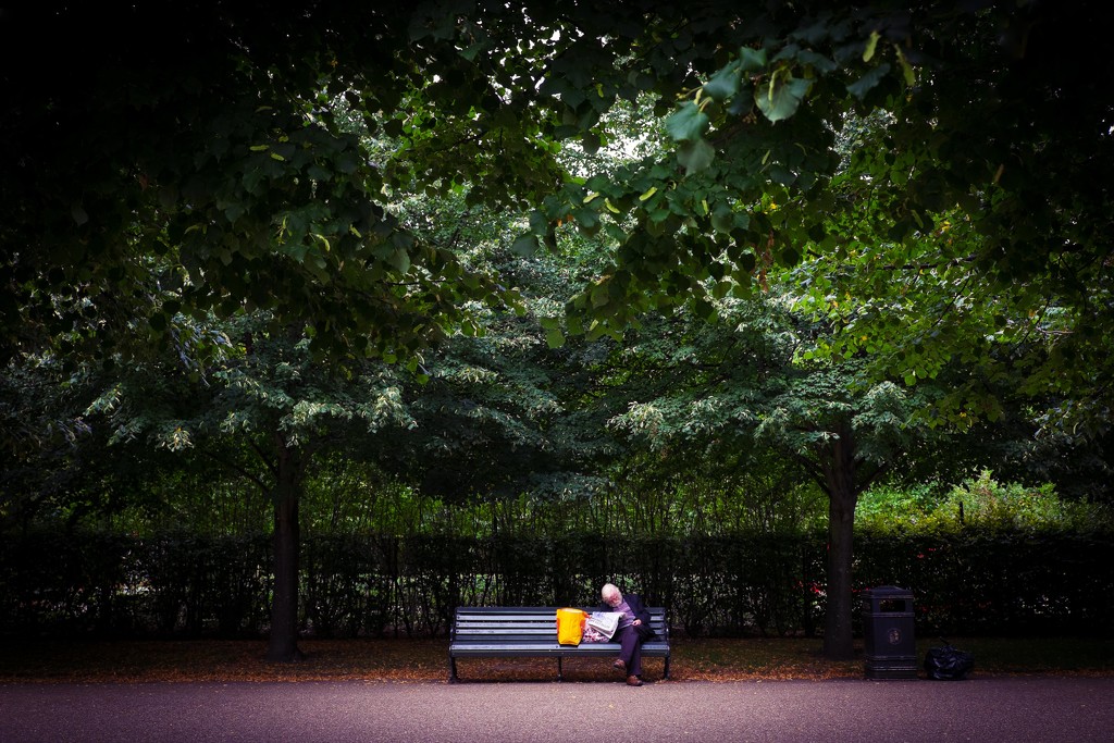 Day 231, Year 3 - Reading In Regent's Park by stevecameras