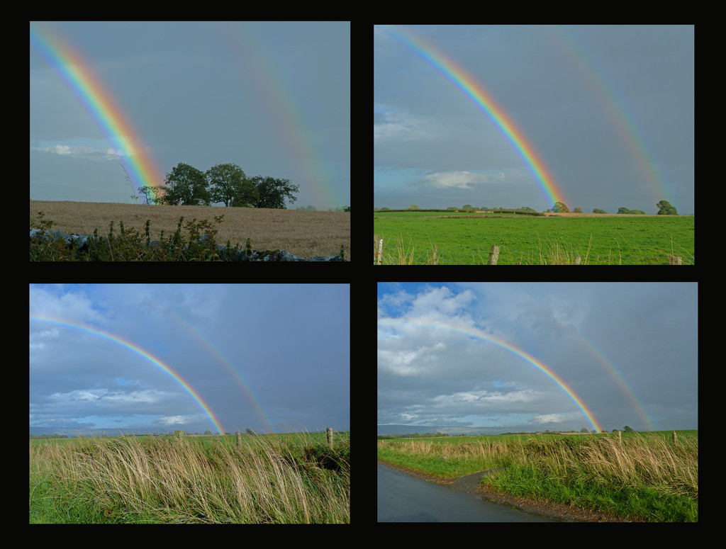 Rainbows by shirleybankfarm