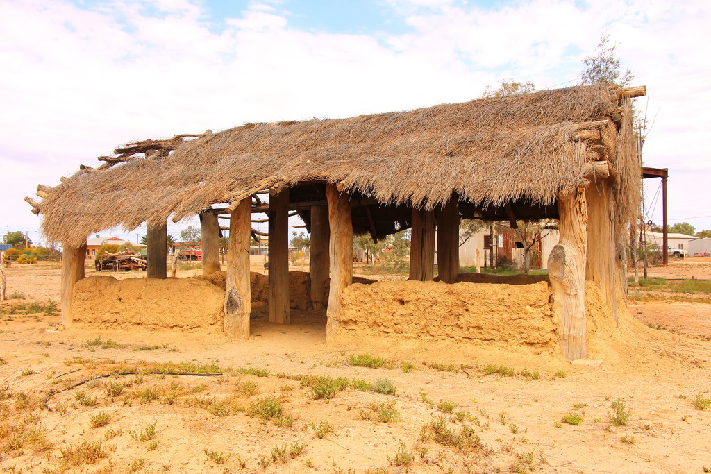 The Mosque at Marree by terryliv