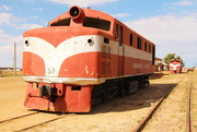 25th Sep 2015 - The Old Ghan