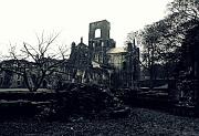 19th Nov 2010 - K is for Kirkstall Abbey