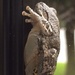 0924toad2 by diane5812