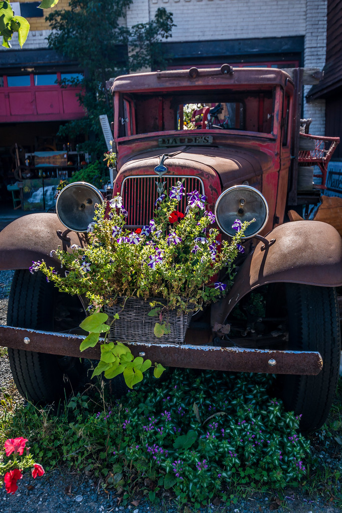 Maude's Ford by jackies365