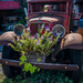 Maude's Ford by jackies365