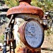 old gas pump  by dmdfday