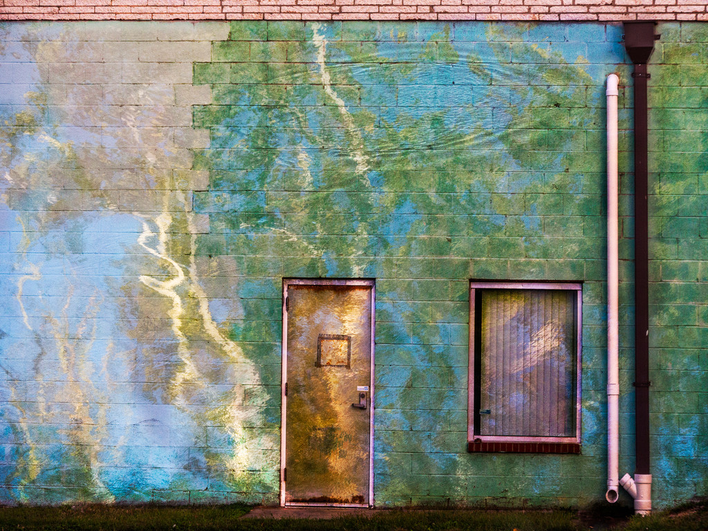 Composite tree reflections on old wall by jbritt