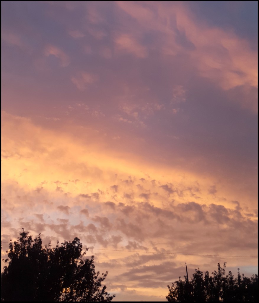 Torrance Park Sunset Sky by cndglnn