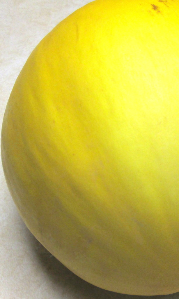 Half of a Canary melon by bruni