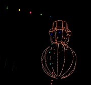 19th Nov 2010 - Electric Snowman