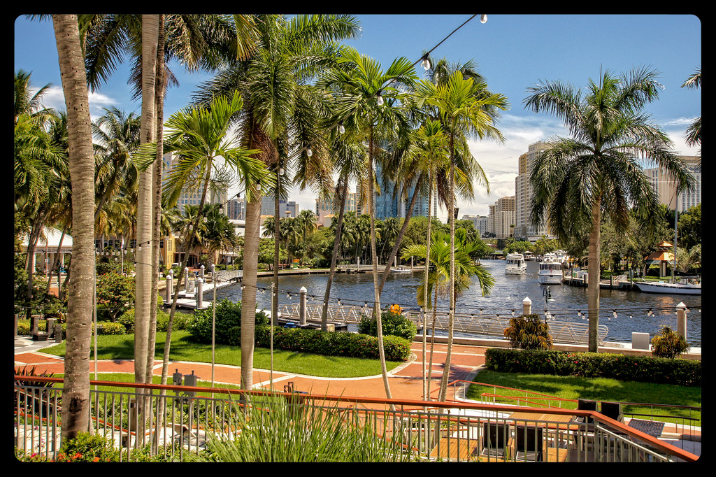 Ft. Lauderdale-The Venice of America by danette