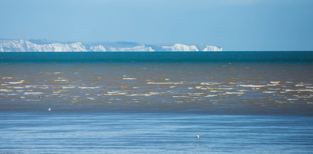26th September 2015     - The White Cliffs of Dover by pamknowler