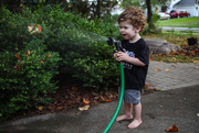 26th Sep 2015 - Watering the Driveway