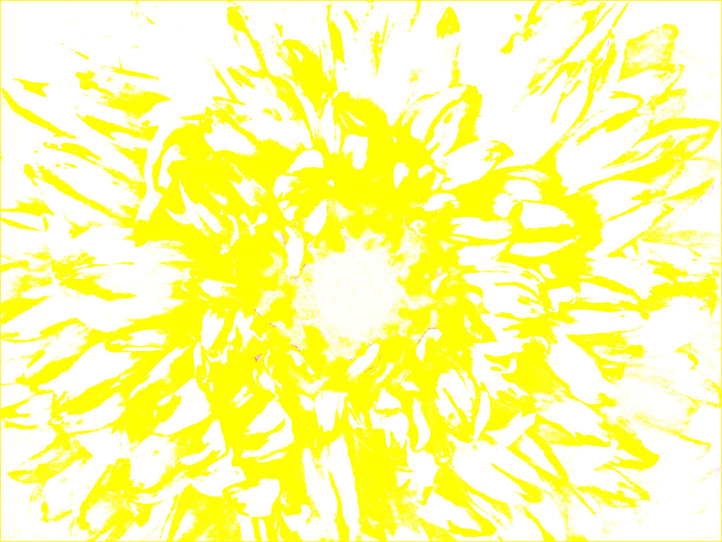 Yellow Pattern 6 by olivetreeann