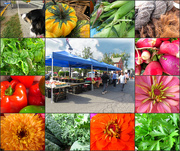 26th Sep 2015 - Stroudsburg Farmer's Market