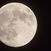 Moon shot before tomorrows red moon. by rickster549