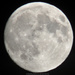 Moon Over Buffalo by byrdlip