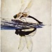 Dragonfly Mirror by pixelchix