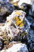 23rd Sep 2015 - flint and lichen.....
