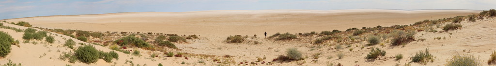 Lake Eyre Panorama by terryliv