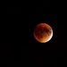 Amazing!  Super Moon Eclipse by novab