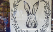 27th Sep 2015 - Rabbit and Reflections