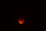28th Sep 2015 - Blood Moon