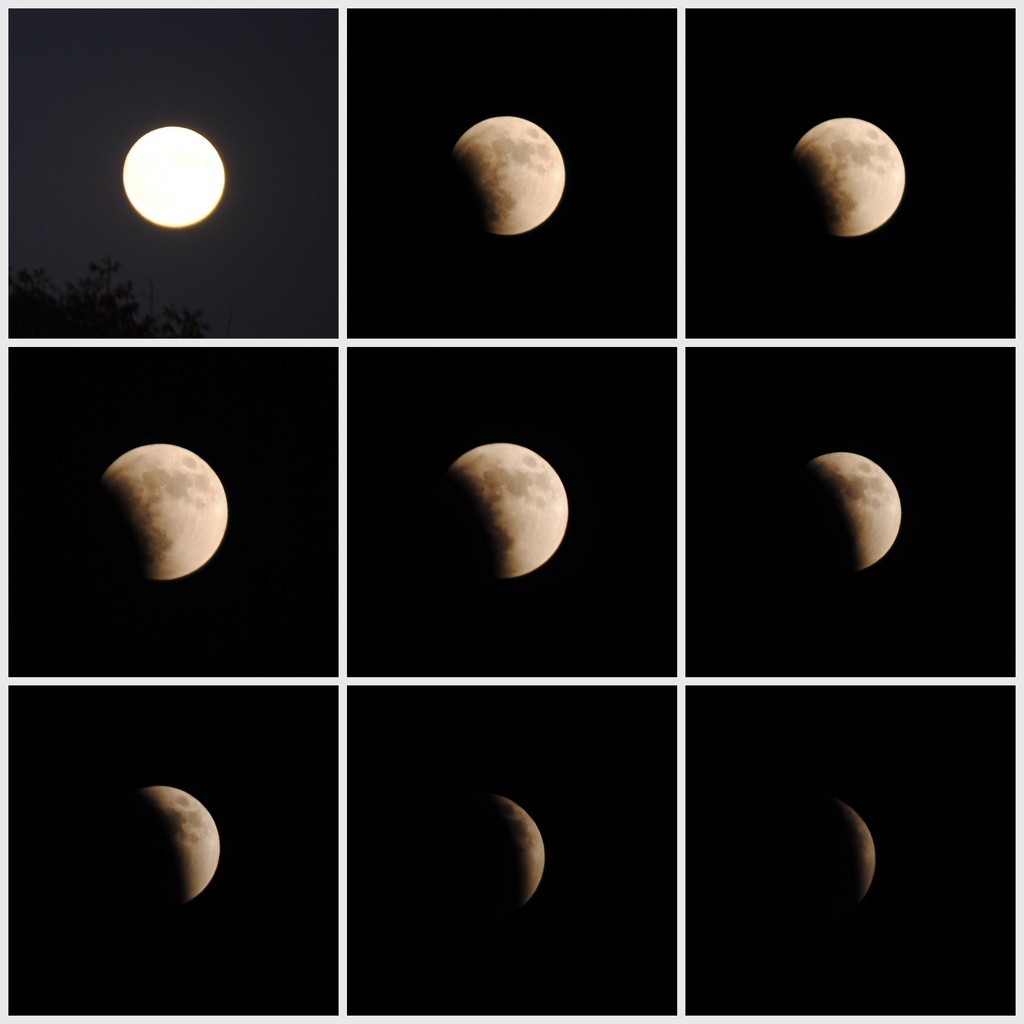 Lunar Eclipse by genealogygenie