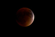 27th Sep 2015 - Blood Moon