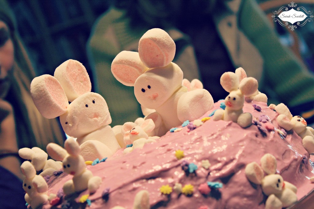 Bunny birthday cake by sarahlh