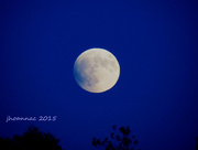 26th Sep 2015 - supermoon eclipse-in the beginning