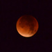 Blood Moon by arkensiel