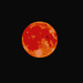 Super Moon (Blood Moon) by stuart46