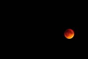27th Sep 2015 - Blood Supermoon Eclipse