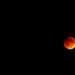 Blood Supermoon Eclipse by dianen