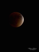 29th Sep 2015 - Almost Eclipsed
