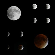 27th Sep 2015 - Lunar Eclipse Collage