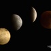 Lunar Eclipse by lynne5477