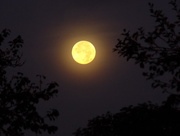28th Sep 2015 - Moon