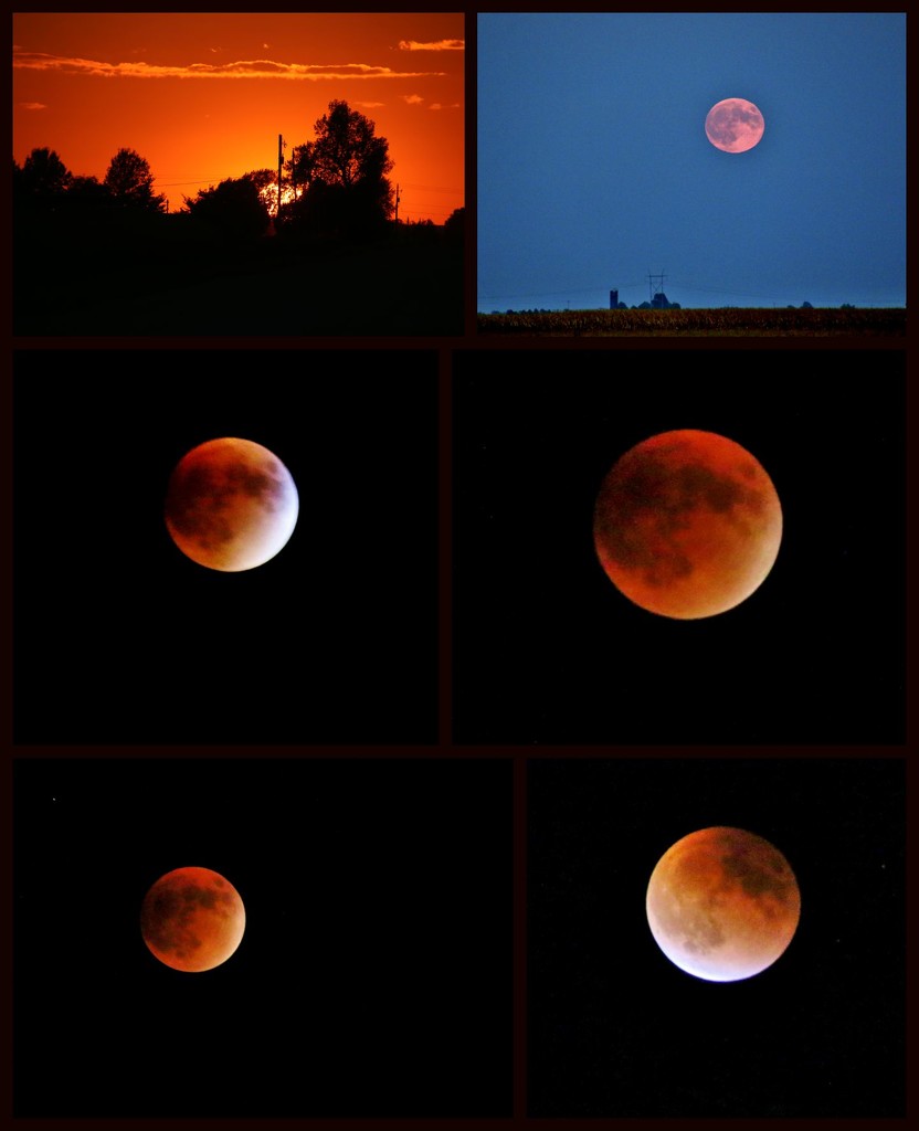 Sunset, Moonrise, Eclipse by lynnz