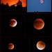 Sunset, Moonrise, Eclipse by lynnz