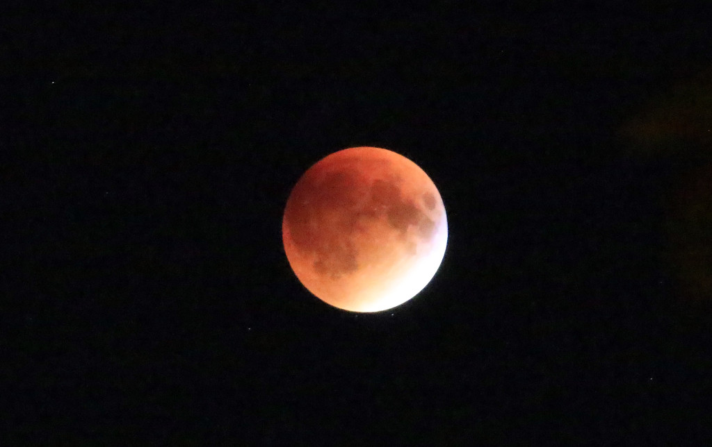 It turned into a blood moon.  by hellie