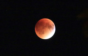28th Sep 2015 - It turned into a blood moon. 