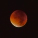 Blood moon by tomdoel