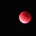 Super Blood Moon by april16