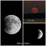 28th Sep 2015 - 3 Stages of the Full Moon